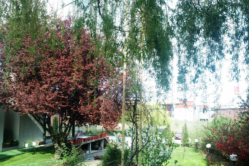 Hotel Aldi Cagllavice Bagian luar foto